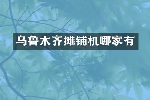 乌鲁木齐摊铺机哪家有