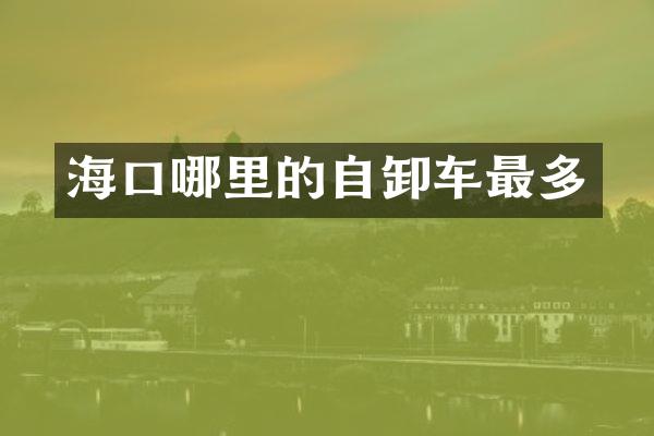 海口哪里的自卸车最多