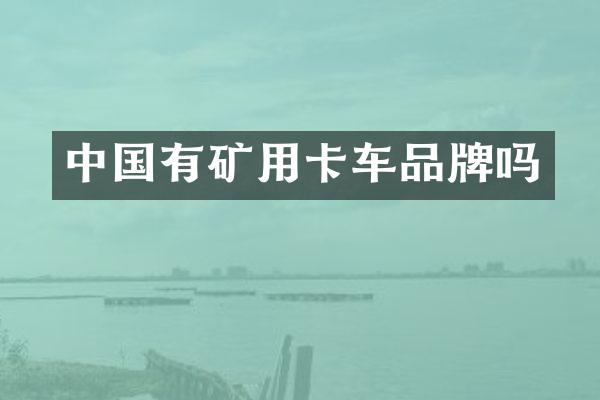 中国有矿用卡车品牌吗