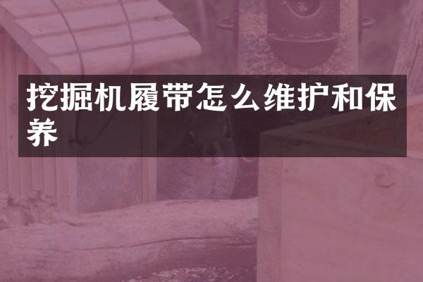 挖掘机履带怎么维护和保养