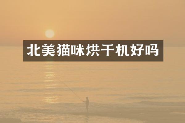 北美猫咪烘干机好吗
