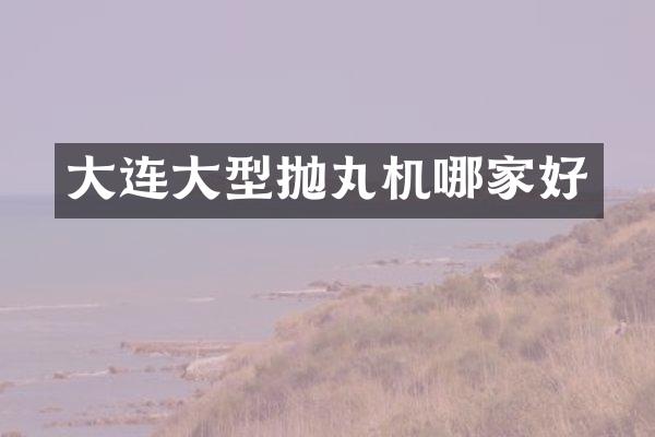 大连大型抛丸机哪家好