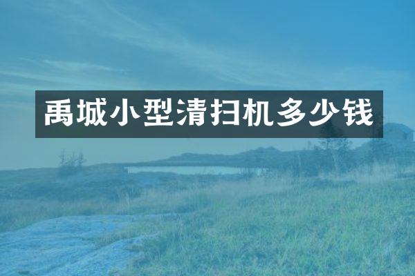 禹城小型清扫机多少钱