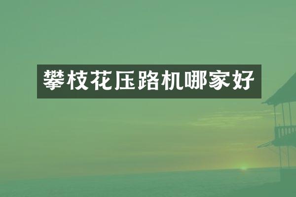 攀枝花压路机哪家好