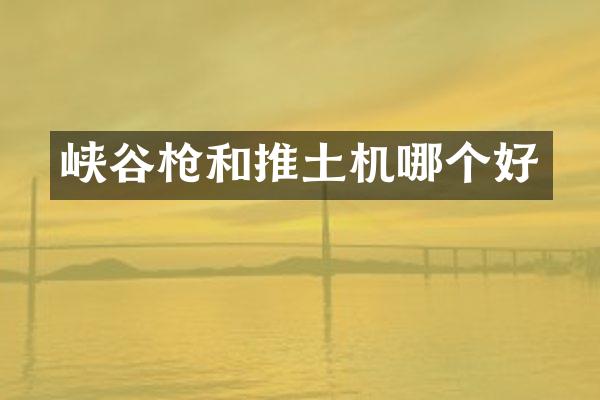 峡谷枪和推土机哪个好