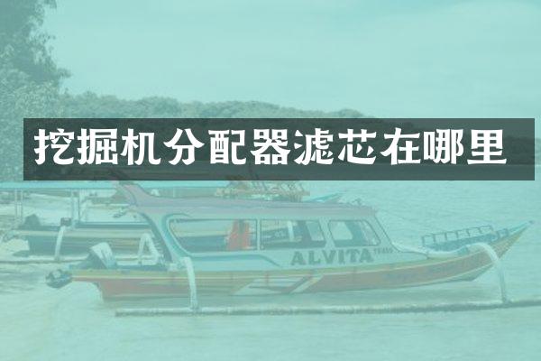 挖掘机分配器滤芯在哪里