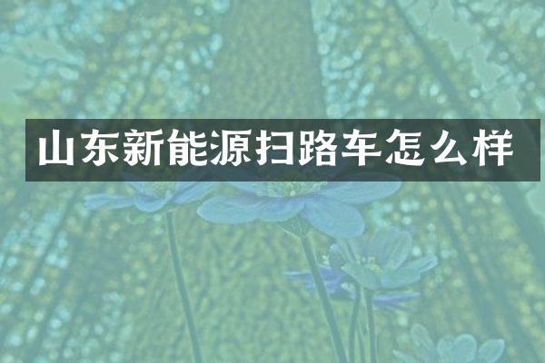 山东新能源扫路车怎么样