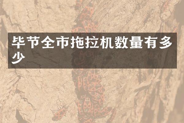 毕节全市拖拉机数量有多少