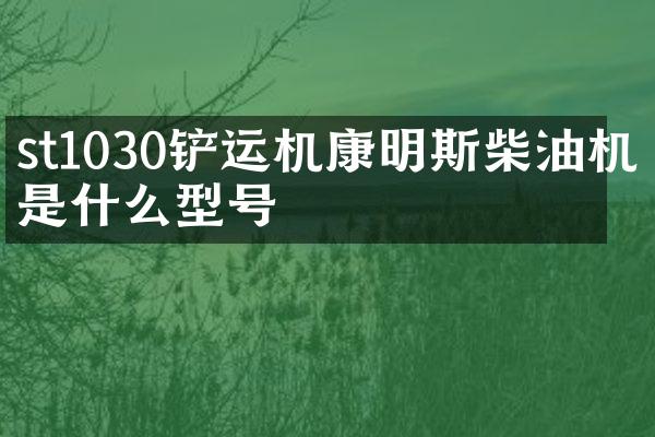 st1030铲运机康明斯柴油机是什么型号