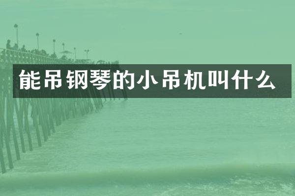 能吊钢琴的小吊机叫什么