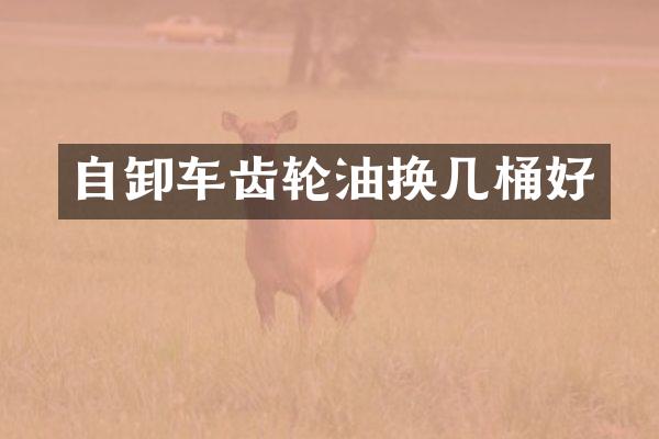 自卸车齿轮油换几桶好