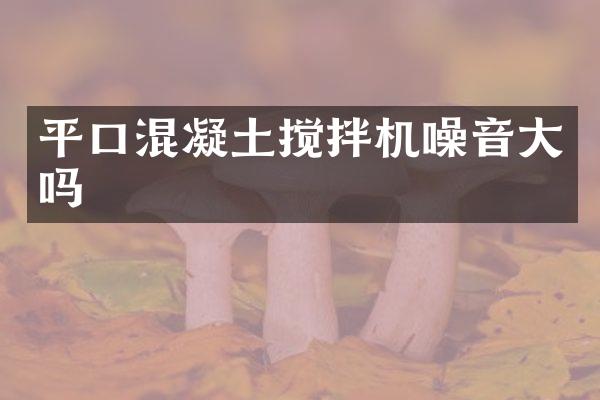平口混凝土搅拌机噪音大吗