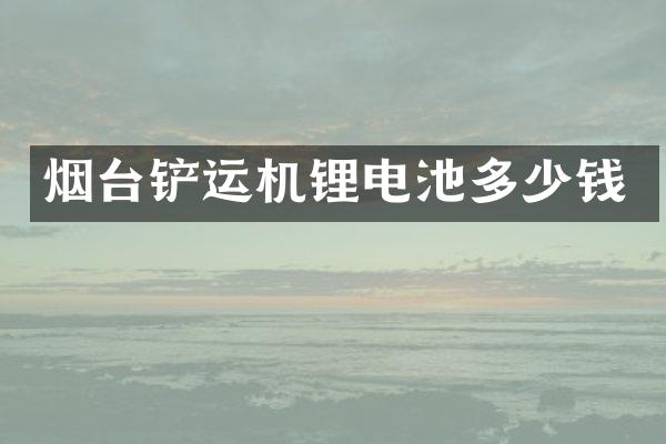 烟台铲运机锂电池多少钱