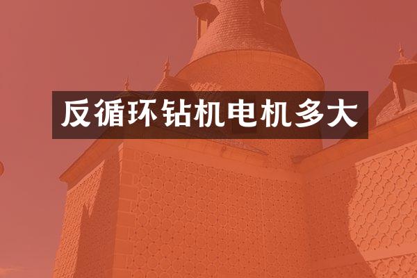 反循环钻机电机多大