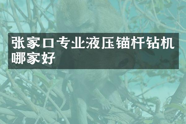 张家口专业液压锚杆钻机哪家好