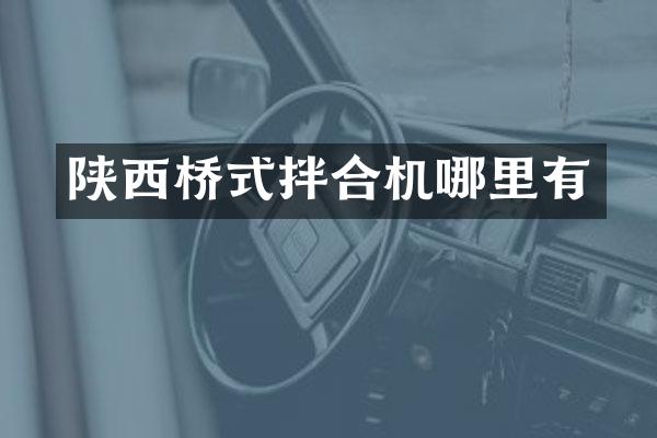 陕西桥式拌合机哪里有