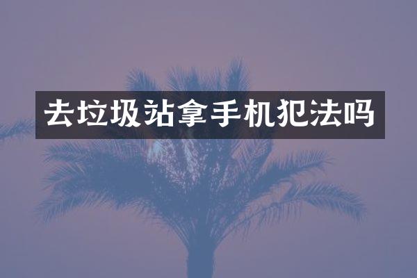 去垃圾站拿手机犯法吗