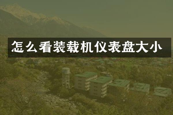 怎么看装载机仪表盘大小