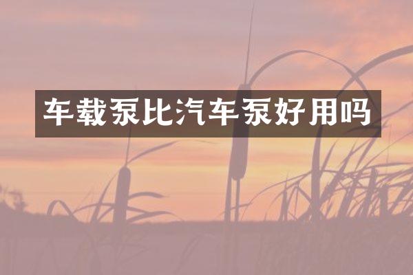 车载泵比汽车泵好用吗