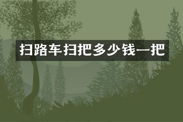 扫路车扫把多少钱一把