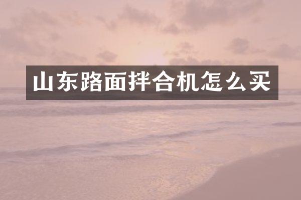 山东路面拌合机怎么买