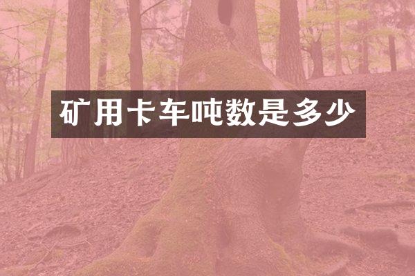 矿用卡车吨数是多少