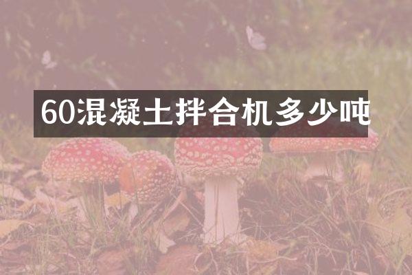 60混凝土拌合机多少吨