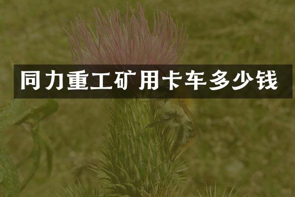 同力重工矿用卡车多少钱