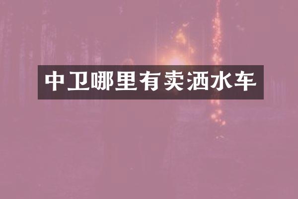 中卫哪里有卖洒水车