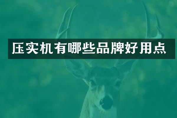 压实机有哪些品牌好用点