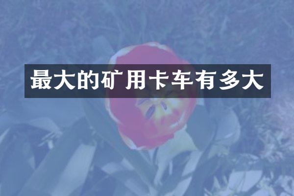 最大的矿用卡车有多大