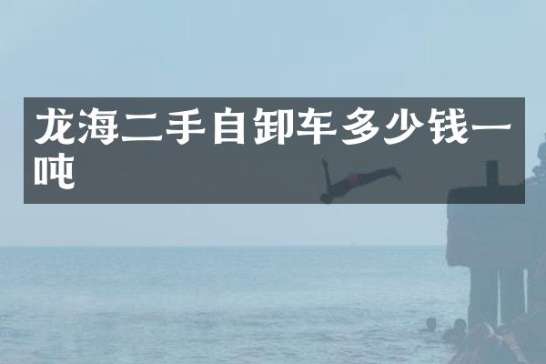 龙海二手自卸车多少钱一吨