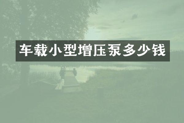 车载小型增压泵多少钱