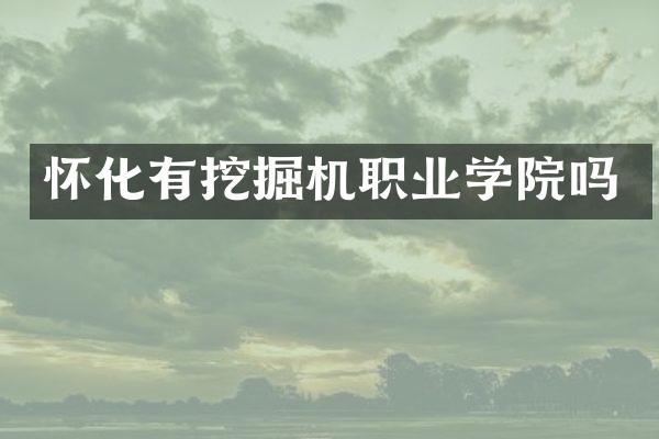怀化有挖掘机职业学院吗