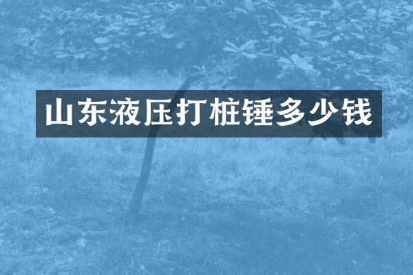 山东液压打桩锤多少钱