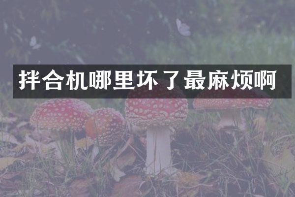 拌合机哪里坏了最麻烦啊