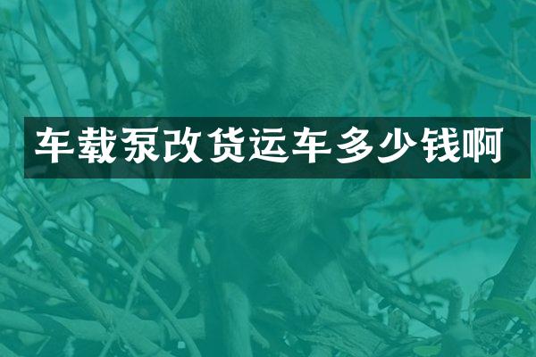 车载泵改货运车多少钱啊