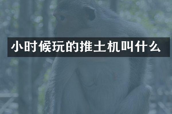 小时候玩的推土机叫什么