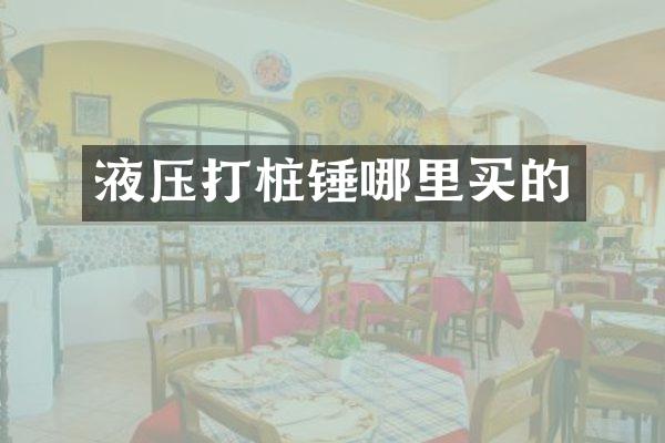 液压打桩锤哪里买的