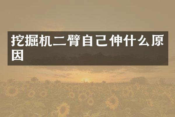 挖掘机二臂自己伸什么原因