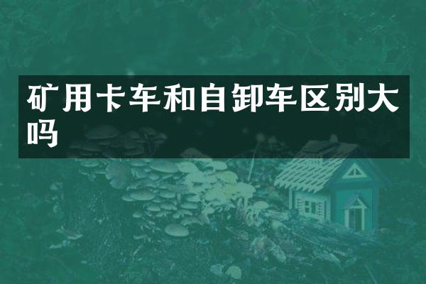 矿用卡车和自卸车区别大吗