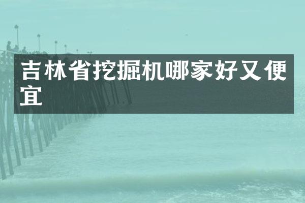 吉林省挖掘机哪家好又便宜