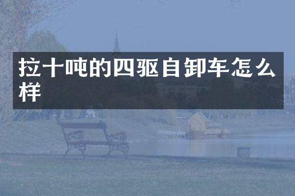 拉十吨的四驱自卸车怎么样