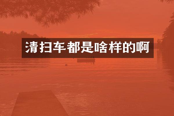 清扫车都是啥样的啊