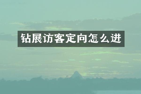 钻展访客定向怎么进