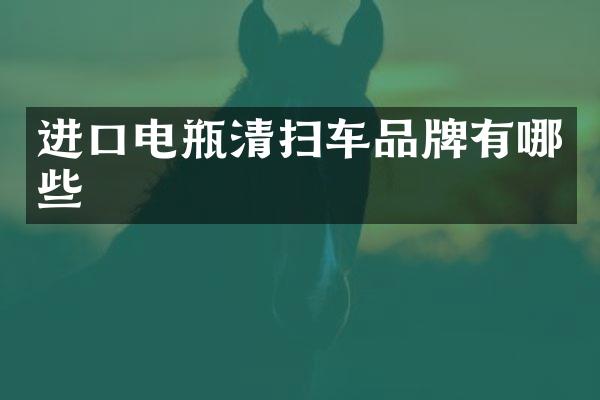 进口电瓶清扫车品牌有哪些