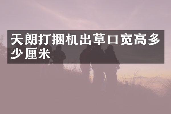 天朗打捆机出草口宽高多少厘米