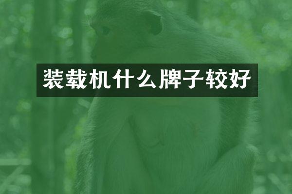 装载机什么牌子较好