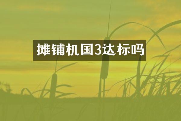 摊铺机国3达标吗