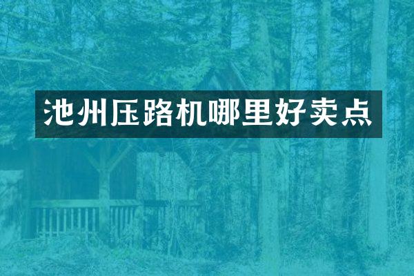 池州压路机哪里好卖点